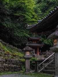 🍃 日本・京都【愛宕念仏寺】| 千体羅漢の不思議な世界