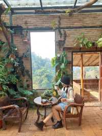 Akipu Coffee - อะกิปุ 🌿
