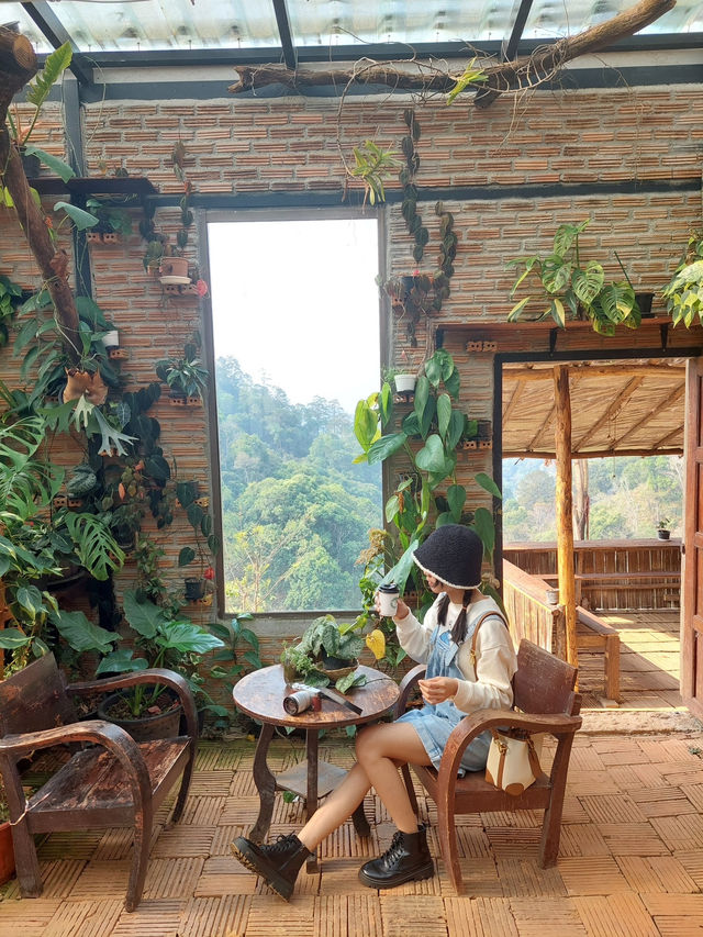 Akipu Coffee - อะกิปุ 🌿
