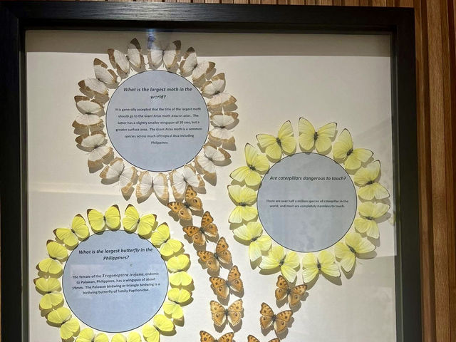 Manila Zoological and Botanical Garden