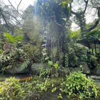 芳林公園·城市綠洲中的童趣