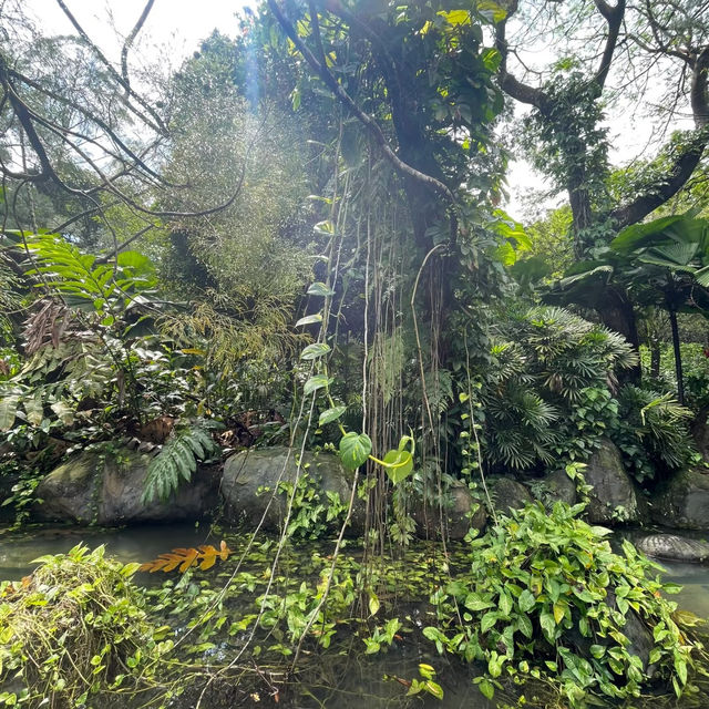 芳林公園·城市綠洲中的童趣