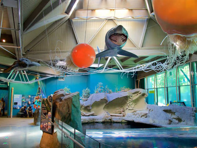 溫哥華水族館
