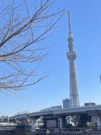 สวนสาธารณะ Sumida Park 