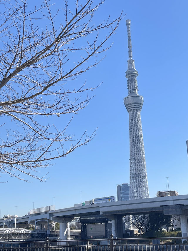 สวนสาธารณะ Sumida Park 