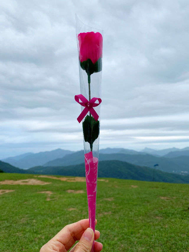 春天，綠油油的昂平大草原旅遊攻略💚