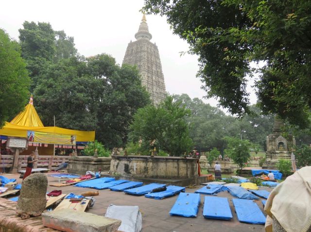 🇮🇳 摩訶菩提寺🛕佛陀在此菩提樹下成道