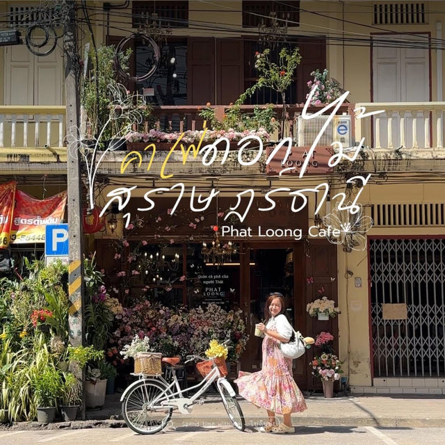 คาเฟ่ดอกไม้สุราษฎร์ธานี