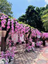 “Urban Escape: KLCC Park, Nature in the Shadow of the Towers”