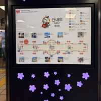 【済州島】コスメ、お土産の穴場✨済州島唯一の地下商店街✨