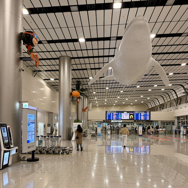 【済州島】南国感あふれる魅力がギッシリ詰まった空港✈️