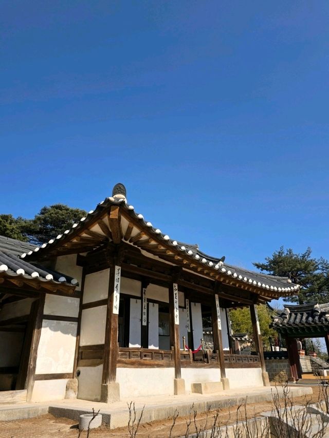 ⚘️🪴강원도 강릉 여행지 명소 강릉 오죽헌 