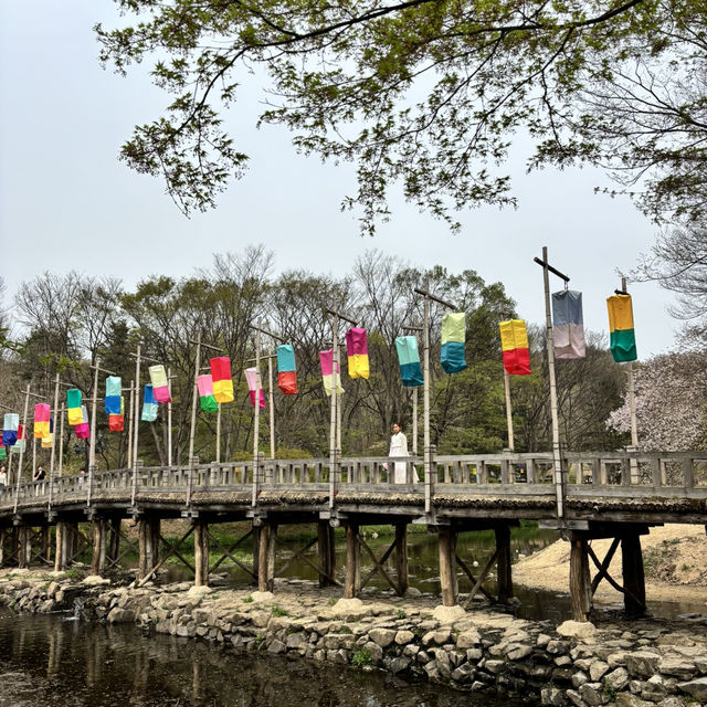 🇰🇷【韓国】韓国民俗村で楽しもう！(^^)