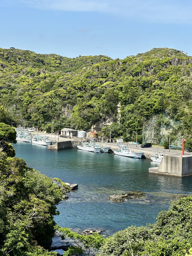 【千葉】360°パノラマ絶景スポット 荒波に侵食されたリアス式海岸