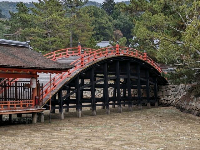 【広島】嚴島神社で海に浮かぶ鳥居を見る！