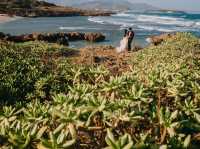 Ly son island 