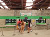 Khao Kheow Open Zoo 
