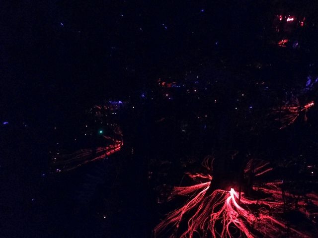 🌌A Celestial Walk🌌