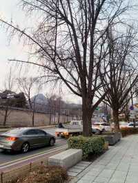 🇰🇷Ikseondong Village Area🇰🇷Must Visit💙