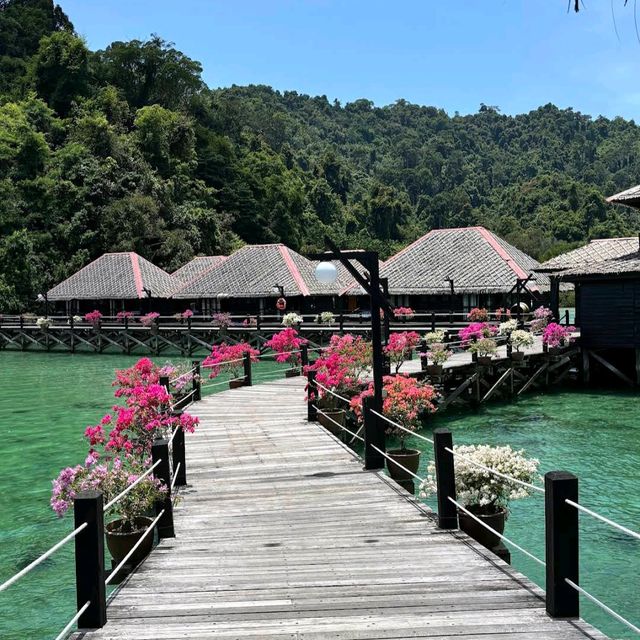 Gayana Eco Resort
