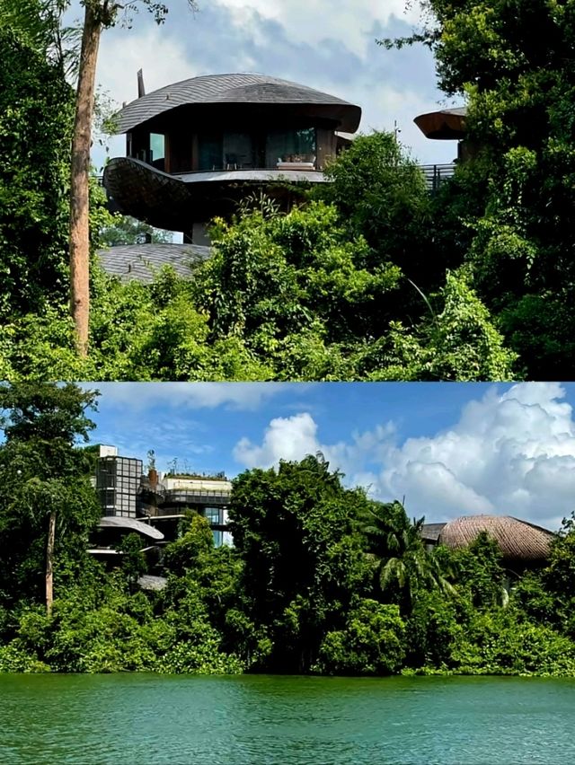 Serene Strolls Amidst Singapore's Nature