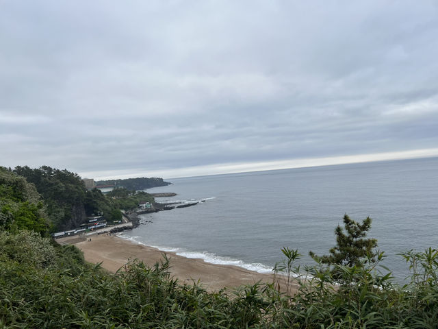 4월의 제주도는 힐링