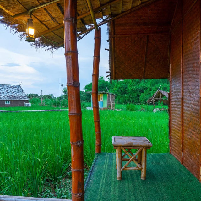 ที่ปลายนาตากับยาย อุทัยธานี