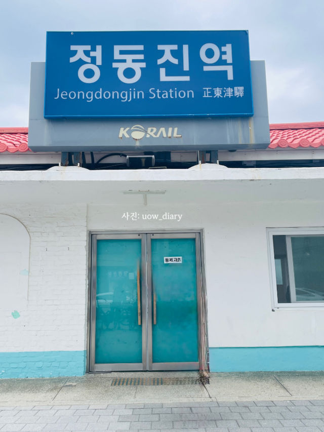 바다+커피+자연+감성 힐링 도시 = 강릉 💛🍀
