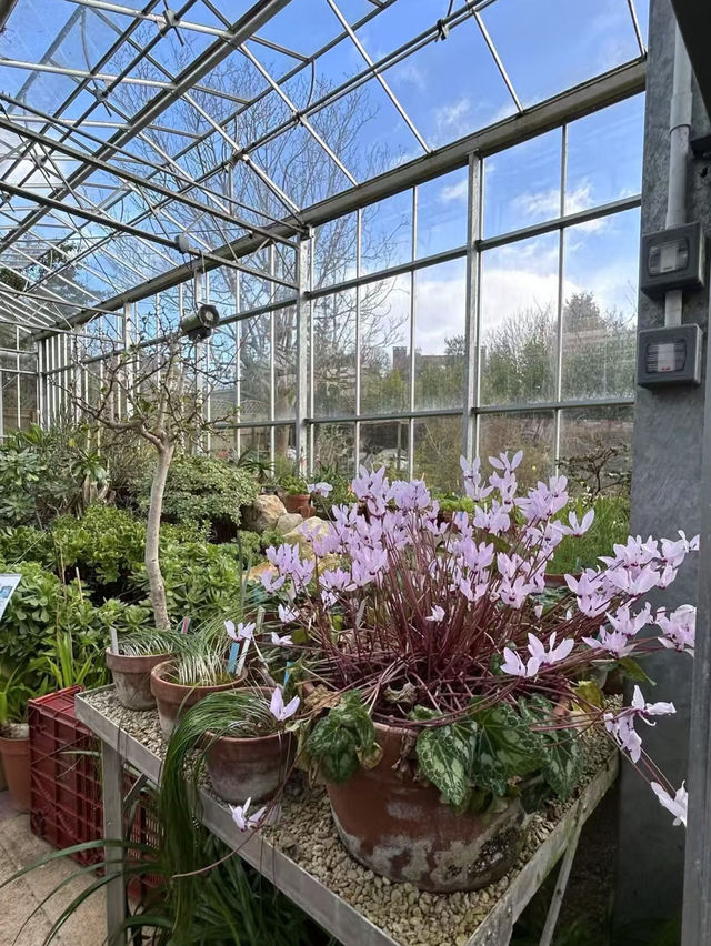 Bristol Botanic Garden | A Hidden Gem for Nature Lovers 🌿📸