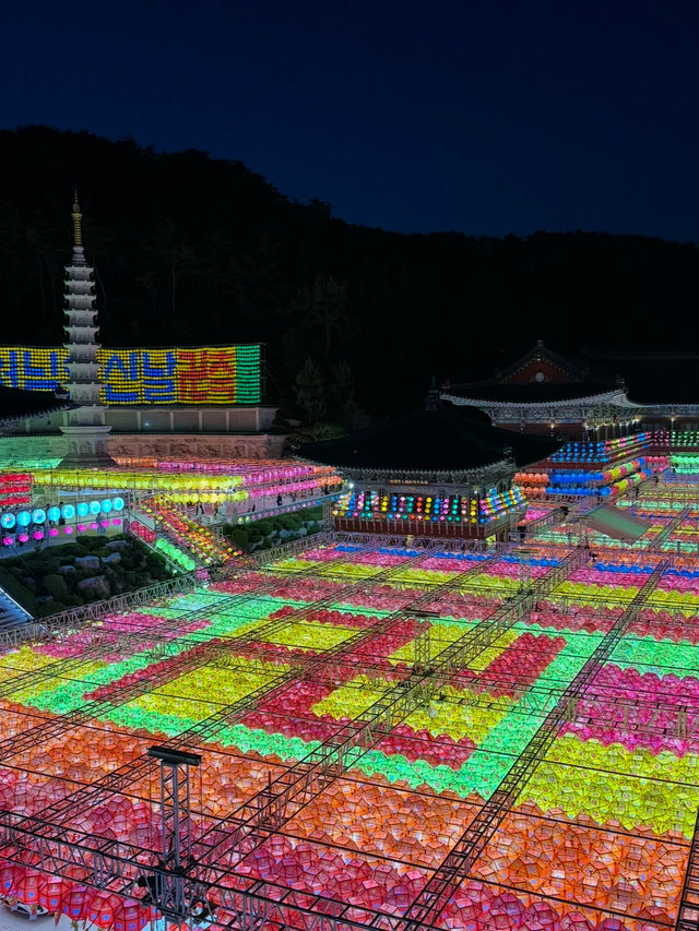 연등들이 밤하늘을 수놓는 삼광사 연등축제🏮
