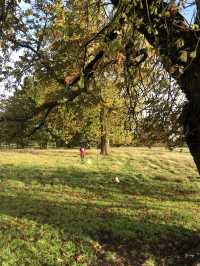 The most beautiful foraging spot for nature lovers