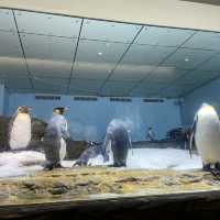 X Park Aquarium 