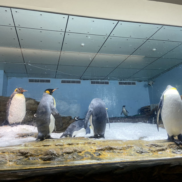 X Park Aquarium 