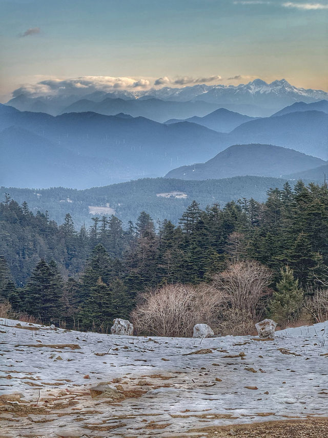Breathing the Sky: A Calm Escape to Yak Meadow (牦牛坪) on Jade Dragon Snow Mountain