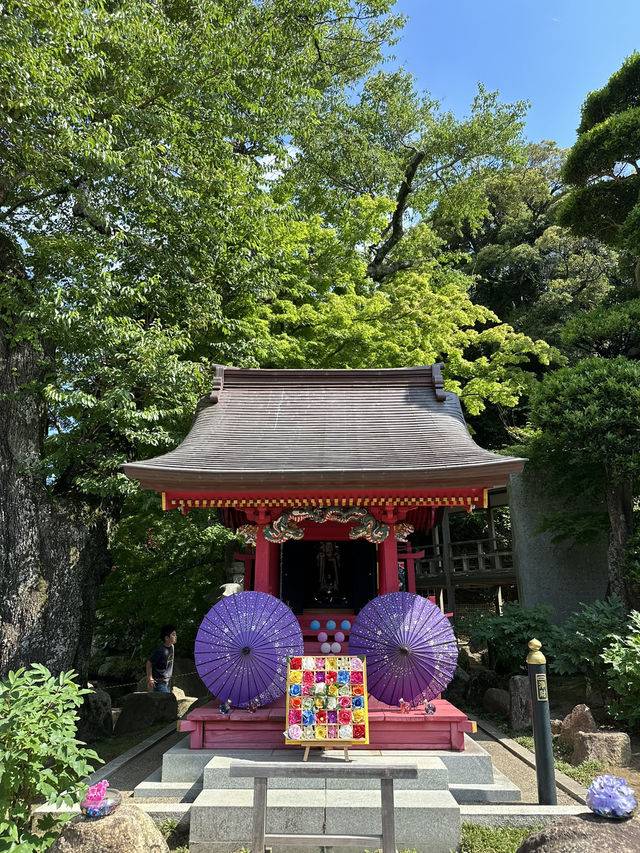 【栃木】紫陽花と孔雀、池に浮かぶ紫陽花 ライトアップも・・