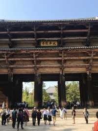 奈良の象徴「東大寺」—世界最大級の大仏と1300年の歴史に触れる旅へ 
