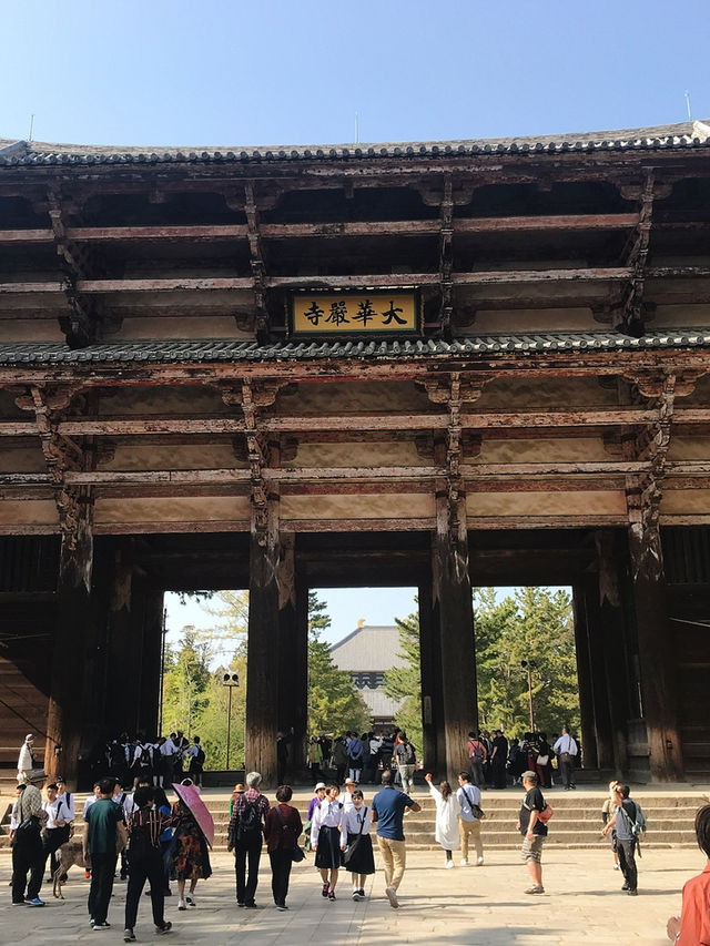 奈良の象徴「東大寺」—世界最大級の大仏と1300年の歴史に触れる旅へ 
