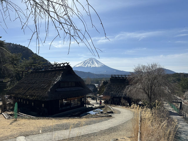 不只是風景：河口湖帶給我的慢靈魂旅行