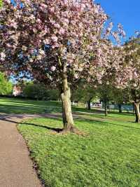 A Family Day by the River at Riverside Park