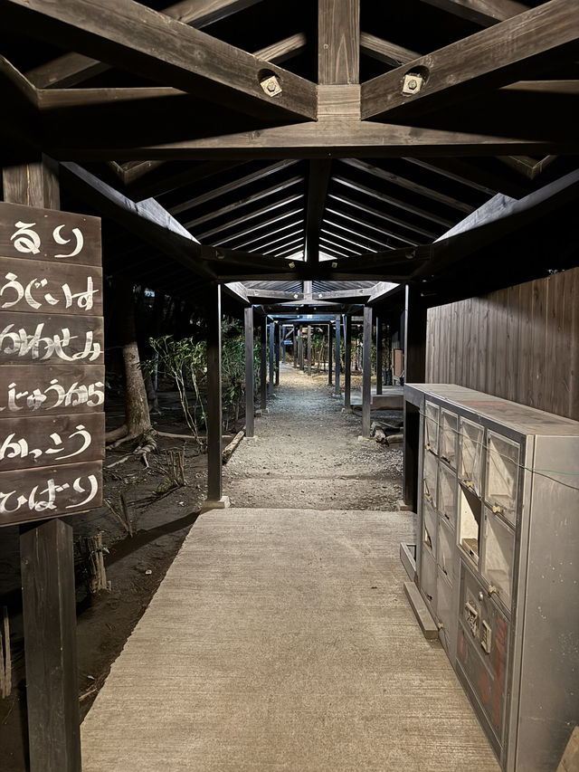 【熊本旅行】秘境の貸し切り温泉♨️2部屋だけ素泊まりできる宿