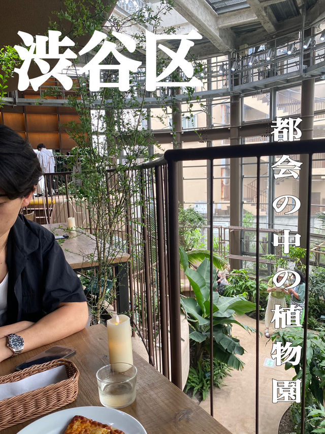 100円で楽しめる！🤩都会の中の植物園！🌱　渋谷区ふれあい植物センター