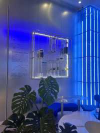 Chillin' in Blue: Sippin' Hazelnut Vibes at Ticco