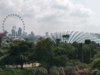 #濱海灣花園Gardens By The Bay-新加坡