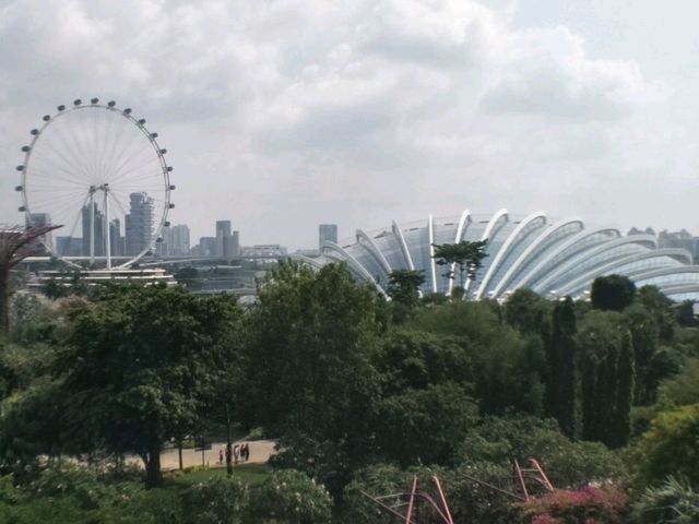 #濱海灣花園Gardens By The Bay-新加坡