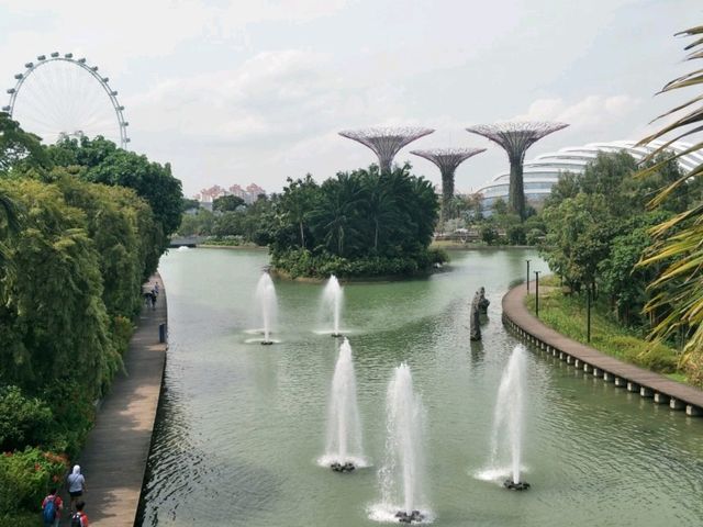#濱海灣花園Gardens By The Bay-新加坡