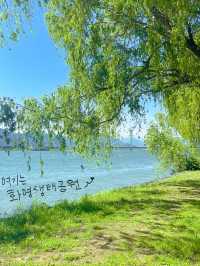 오월은 피크닉 계절: 부산 피크믹