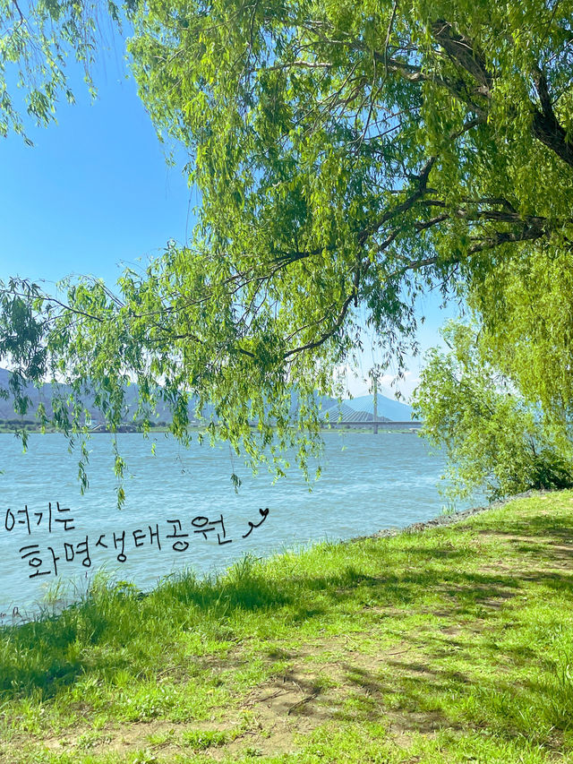 오월은 피크닉 계절: 부산 피크믹