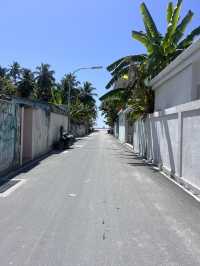 Fuvahmulah 虎鯊島怎麼玩