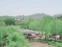 모든 순간이 초록 🌱순천만국가정원