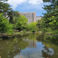 Springtime Serenity at Tsuruma Park, Nagoya